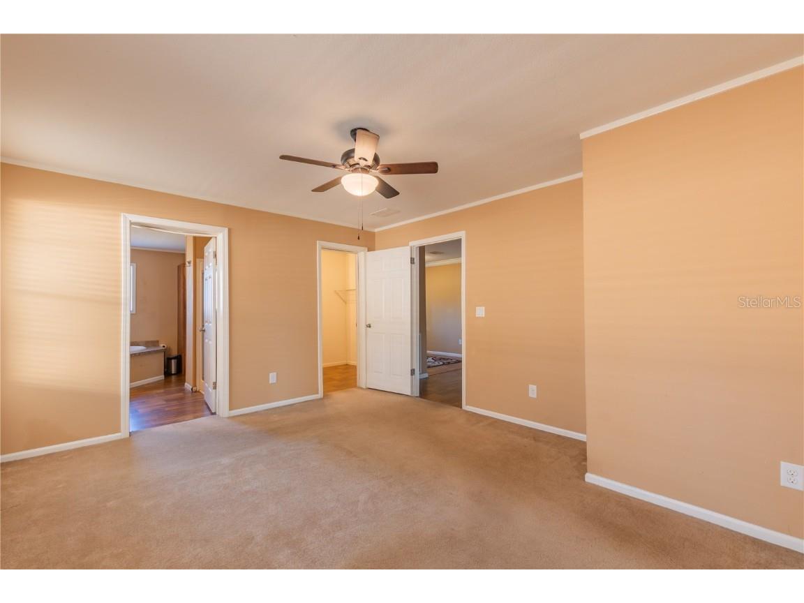 38616 Coleen Avenue Zephyrhills FL 33540 TB8441355 image23