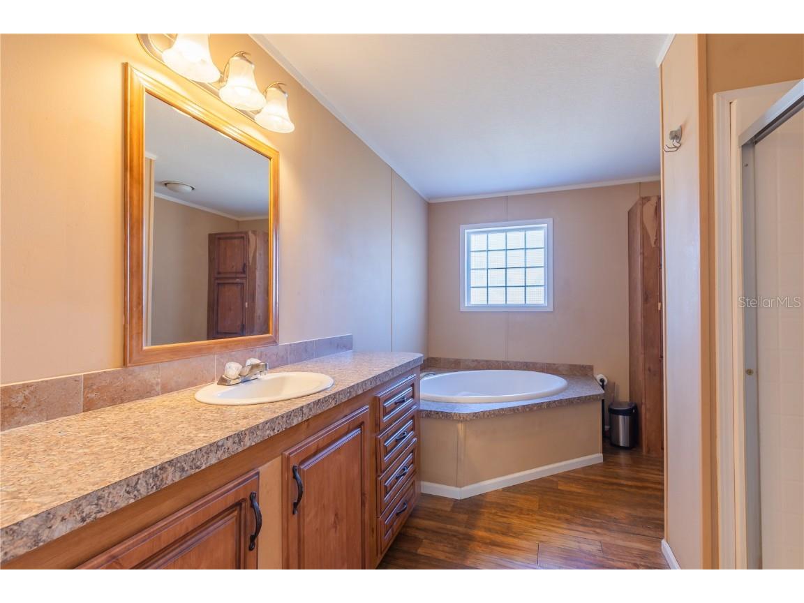 38616 Coleen Avenue Zephyrhills FL 33540 TB8441355 image25