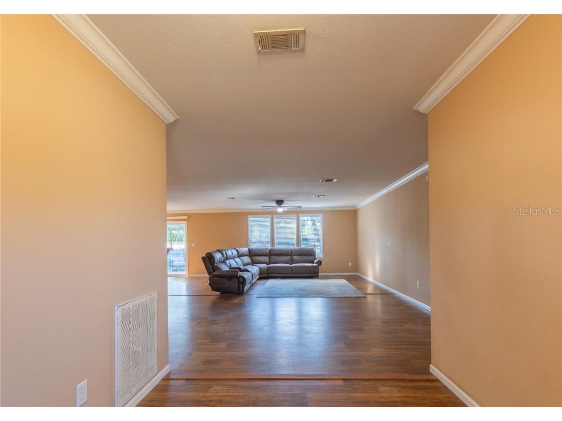 38616 Coleen Avenue Zephyrhills FL 33540 TB8441355 image32