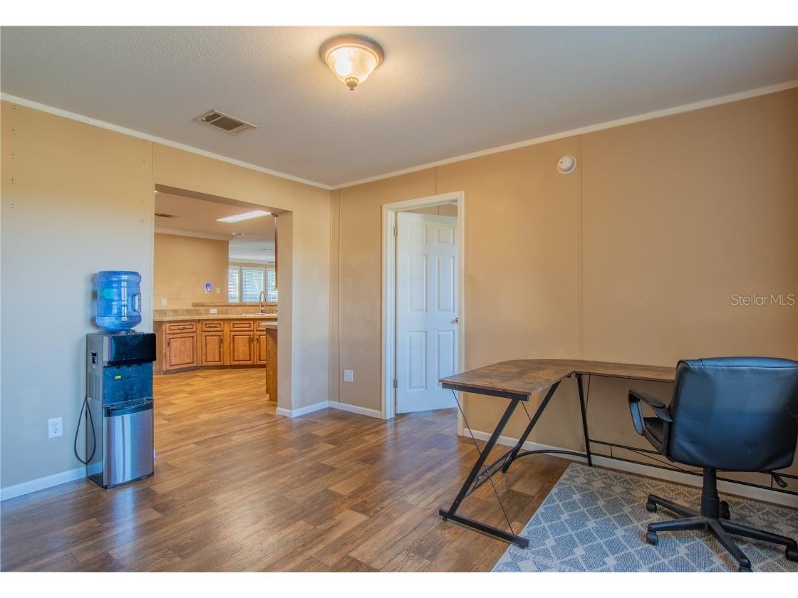 38616 Coleen Avenue Zephyrhills FL 33540 TB8441355 image44