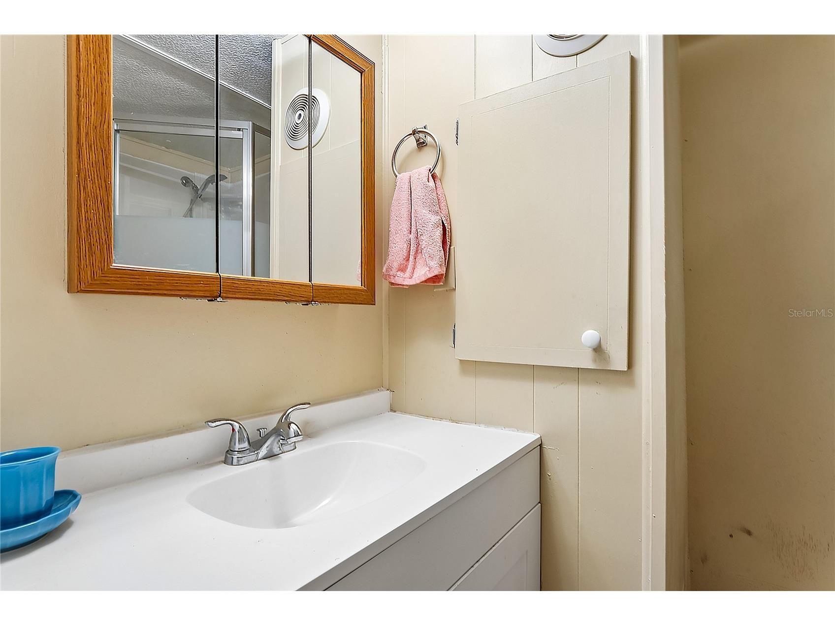 38618 Remora Avenue #92 Zephyrhills FL 33542 TB8471638 image18
