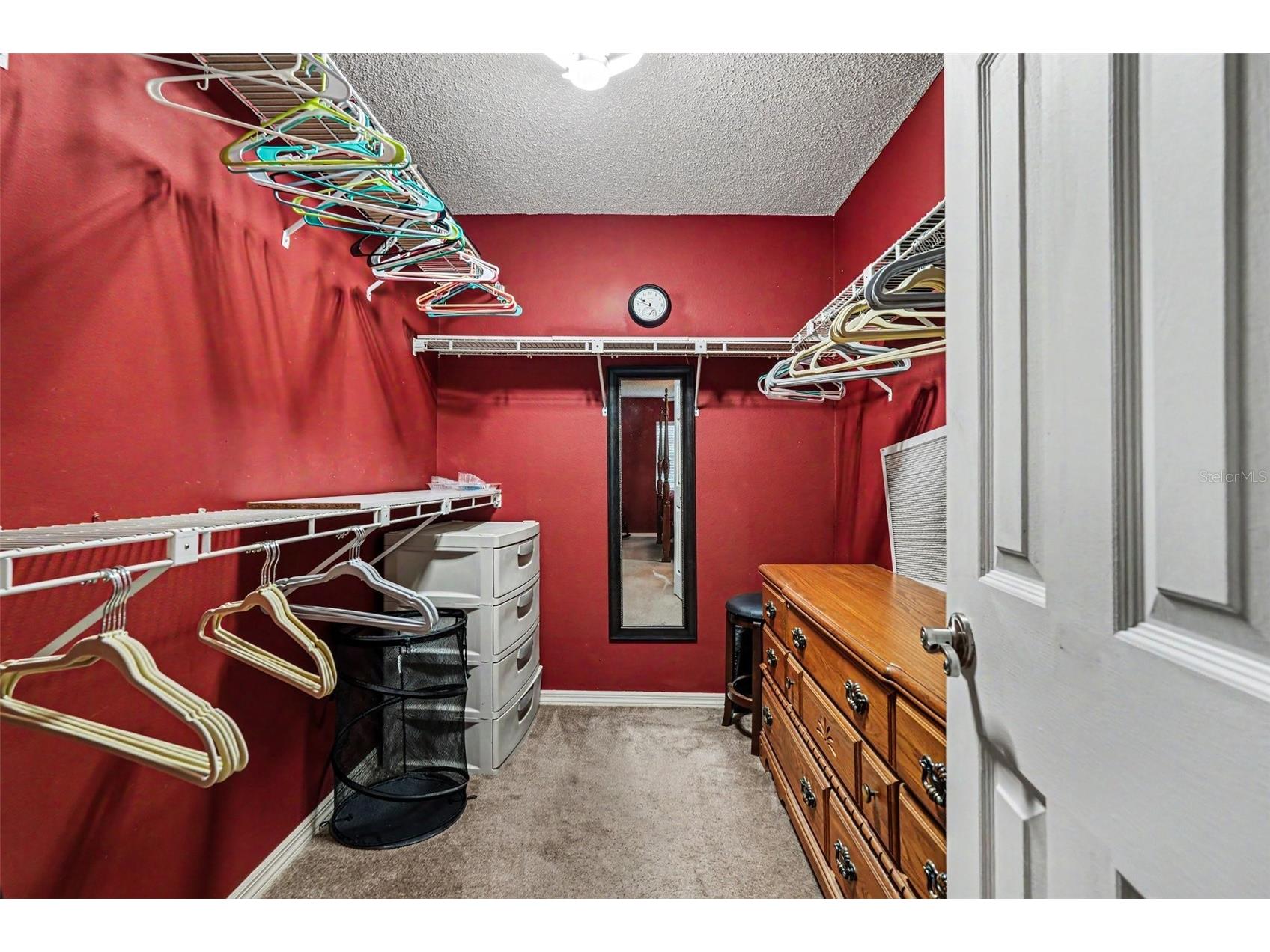 38619 Trellis Avenue Zephyrhills FL 33540 TB8516390 image19