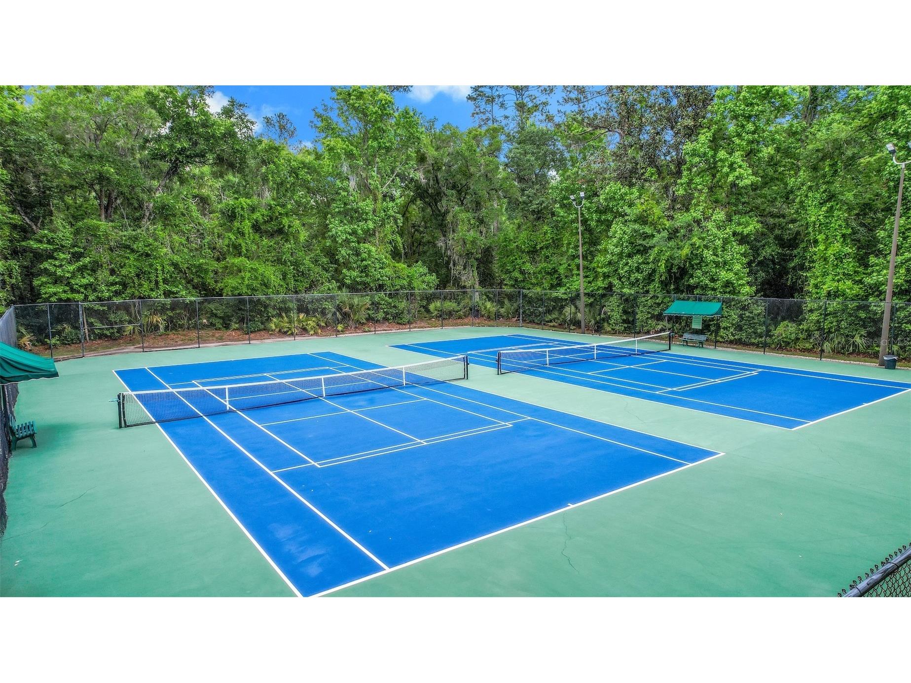 3862 Golden Meadow Court Oviedo FL 32765 - LITTLE ECONLOCKHATCHEE RIVER O6399935 image49