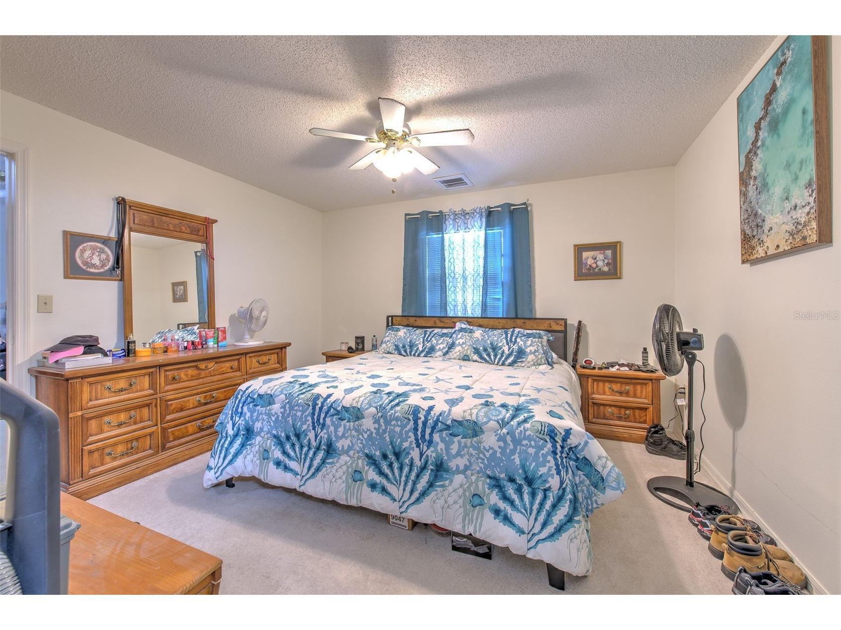 38620 Alpha Avenue Zephyrhills FL 33540 TB8512280 image21