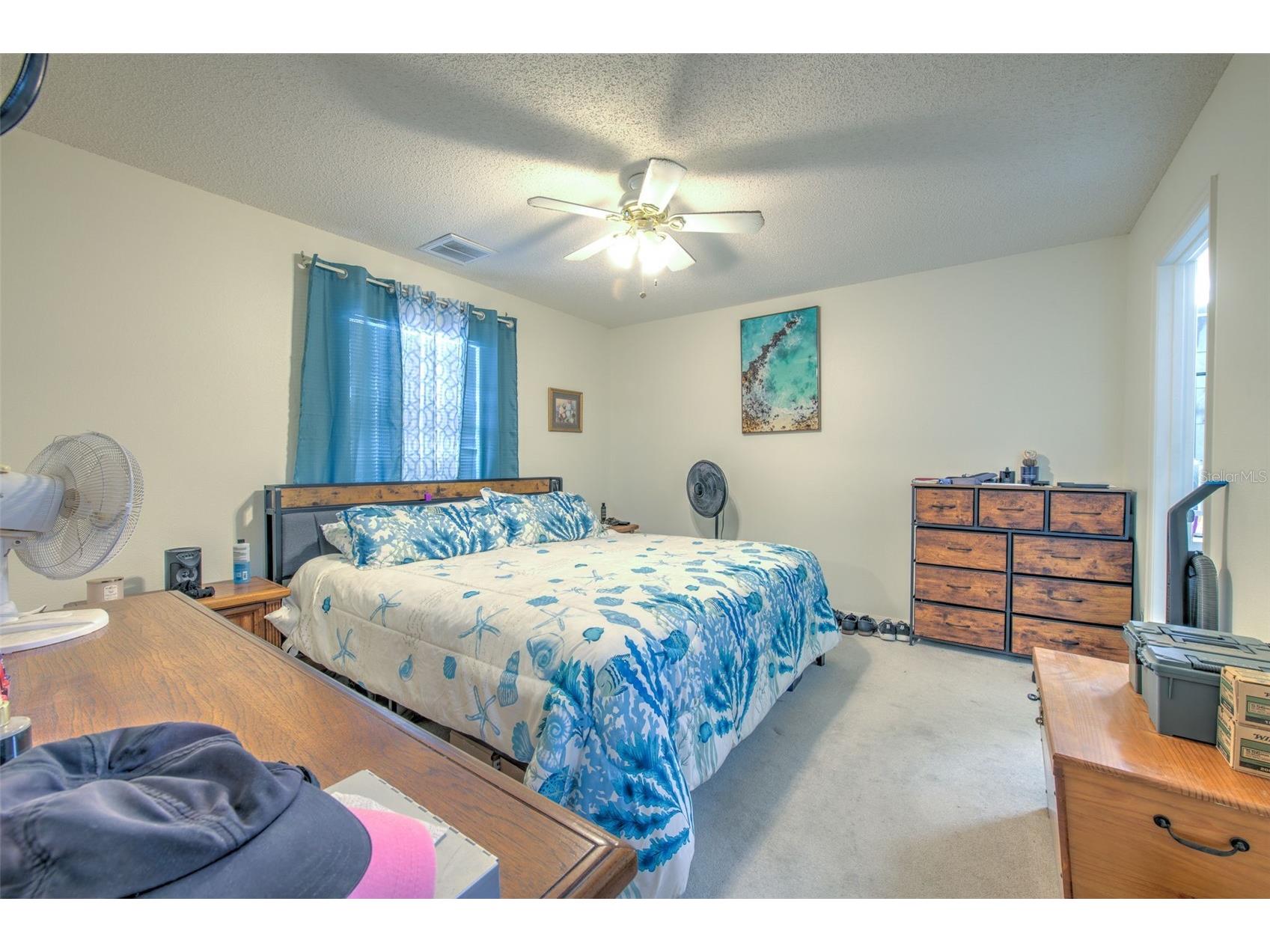 38620 Alpha Avenue Zephyrhills FL 33540 TB8512280 image22