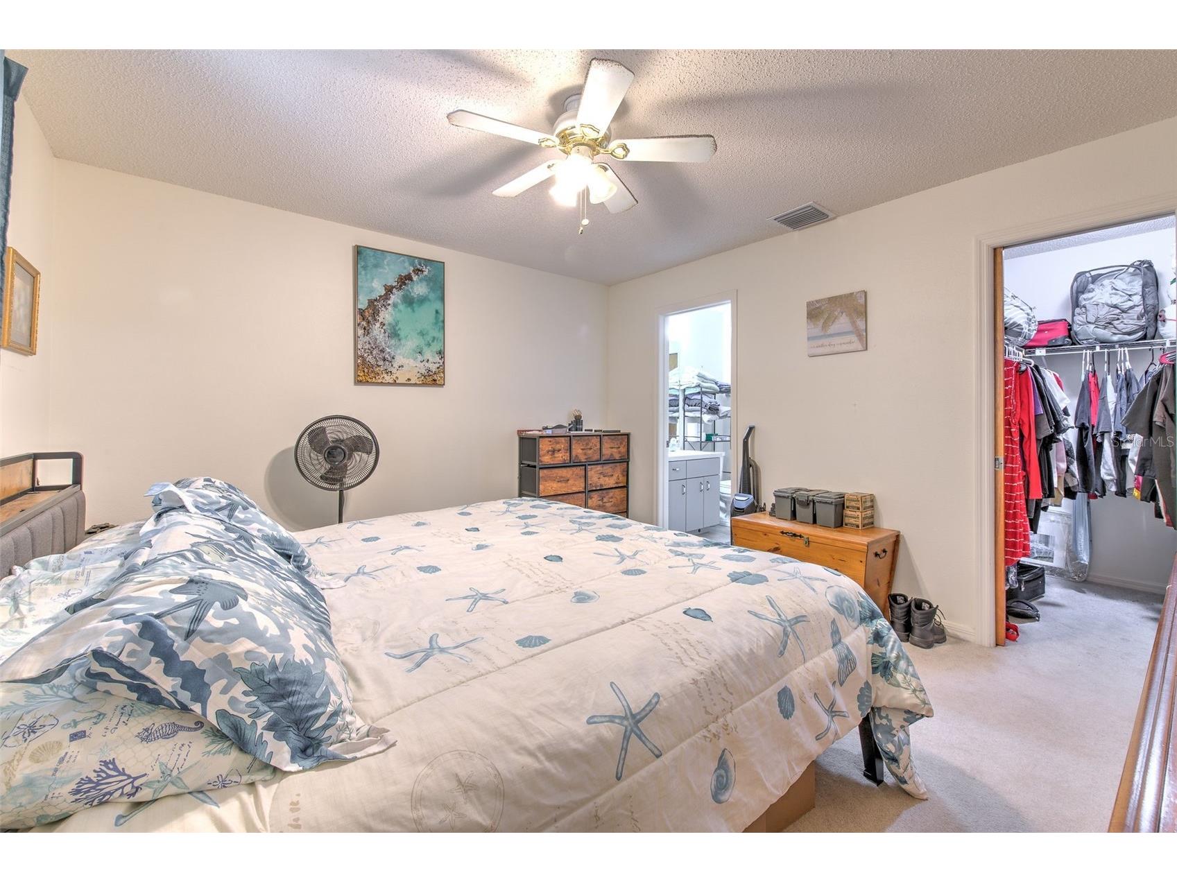 38620 Alpha Avenue Zephyrhills FL 33540 TB8512280 image23
