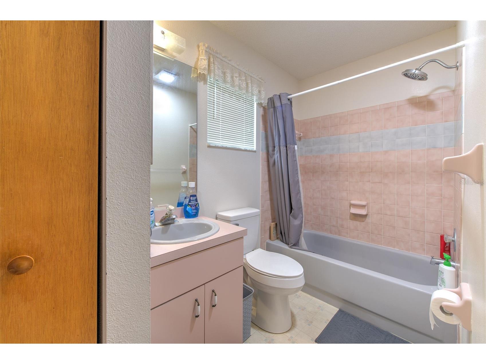 38620 Alpha Avenue Zephyrhills FL 33540 TB8512280 image26