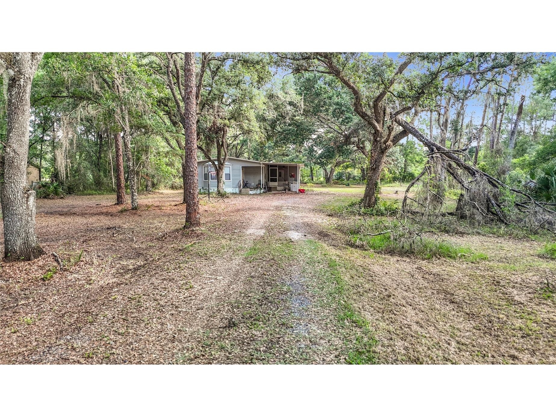 38625 County Line Road Zephyrhills FL 33540 TB8513170 image3