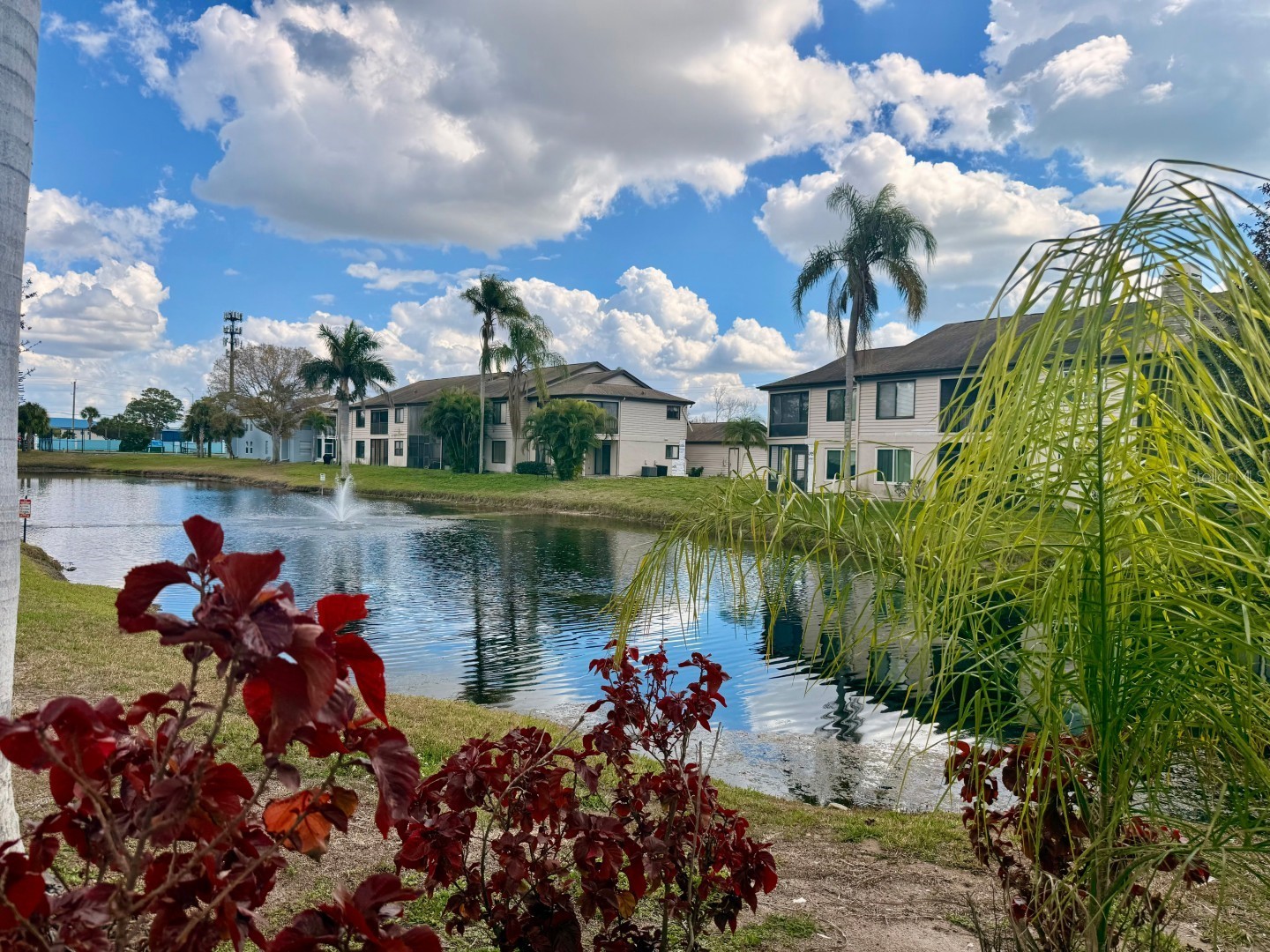 3863 59th Avenue W #4189 Bradenton FL 34210 A4685216 image51