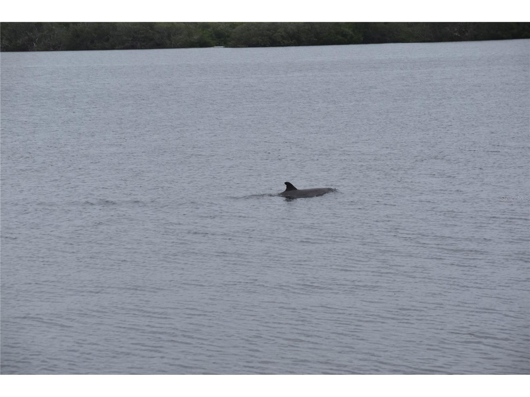 3863 Catalina Drive Bradenton FL 34210 - PALMA SOLA HARBOUR A4688016 image33