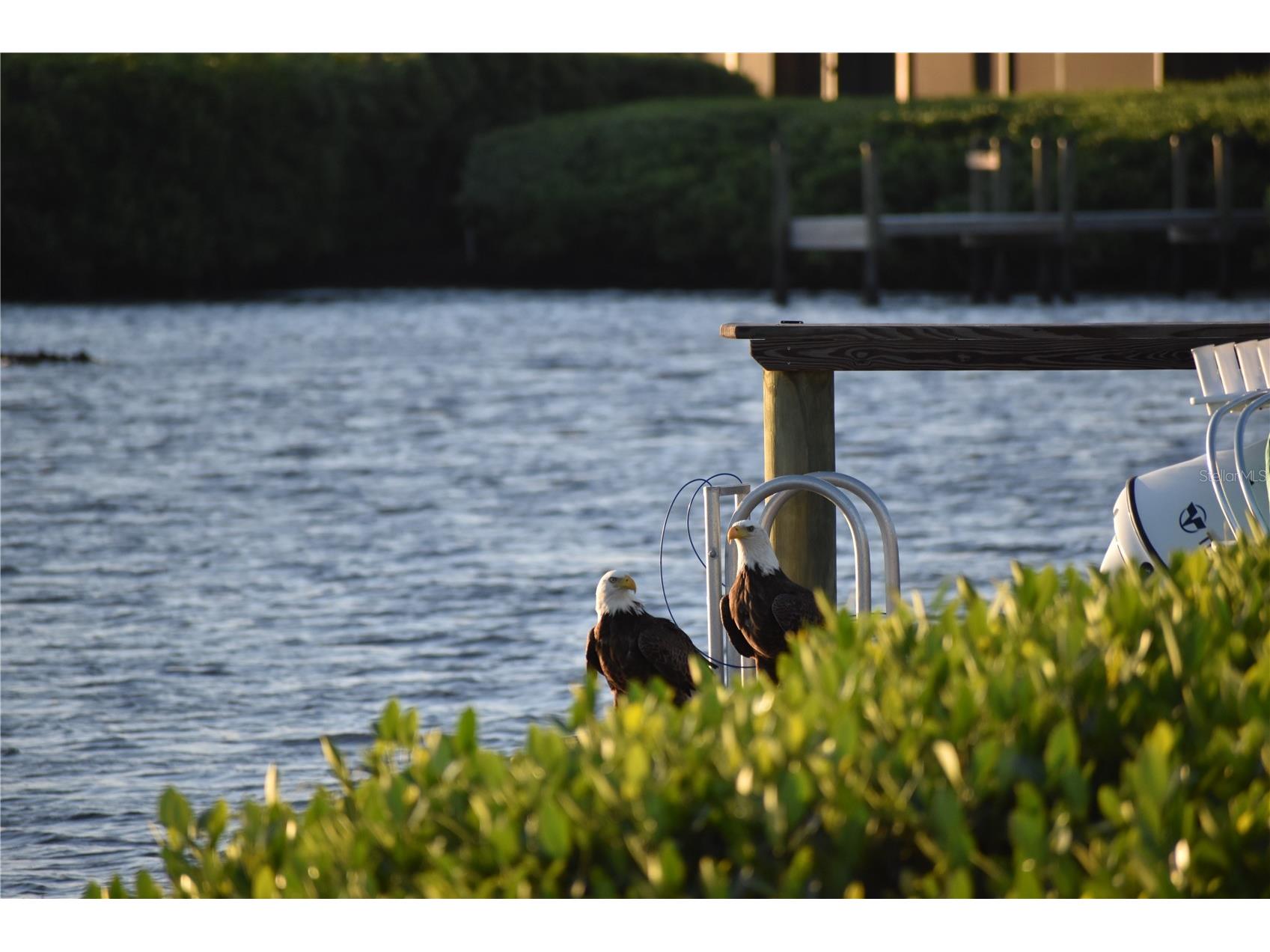 3863 Catalina Drive Bradenton FL 34210 - PALMA SOLA HARBOUR A4688016 image34