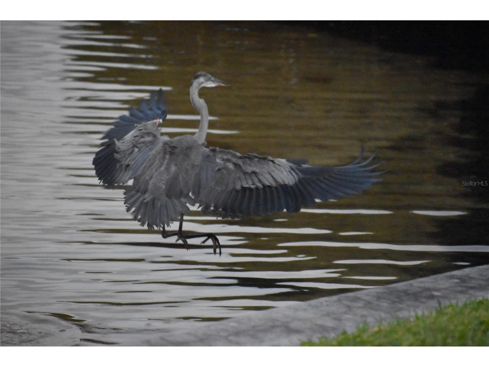 3863 Catalina Drive Bradenton FL 34210 - PALMA SOLA HARBOUR A4688016 image35