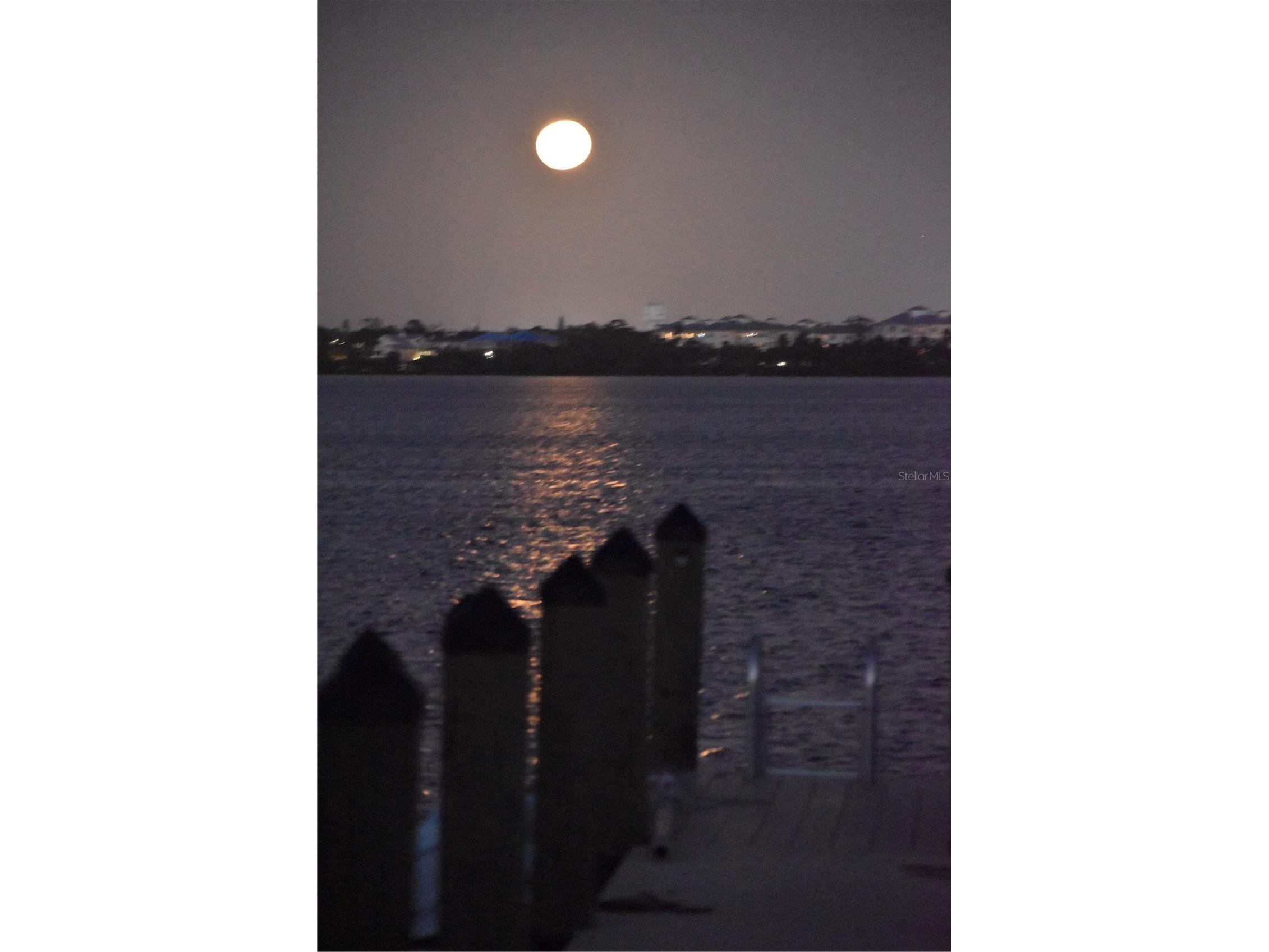 3863 Catalina Drive Bradenton FL 34210 - PALMA SOLA HARBOUR A4688016 image38