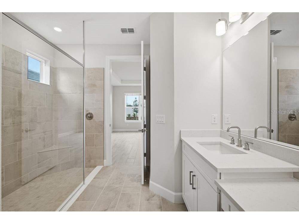 3863 Figliolia Way Wesley Chapel FL 33543 TB8451200 image10