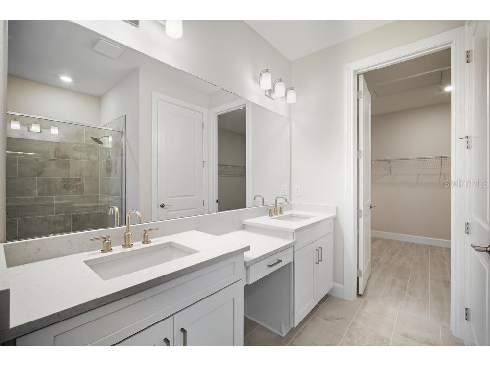 3863 Figliolia Way Wesley Chapel FL 33543 TB8451200 image11