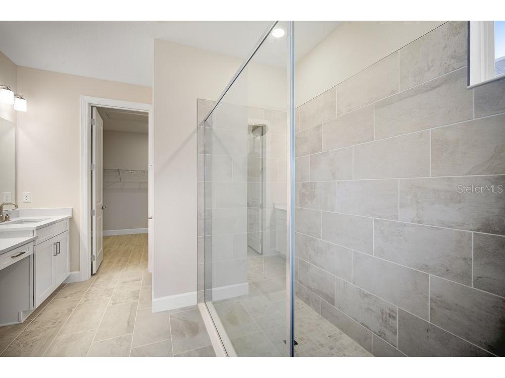 3863 Figliolia Way Wesley Chapel FL 33543 TB8451200 image12