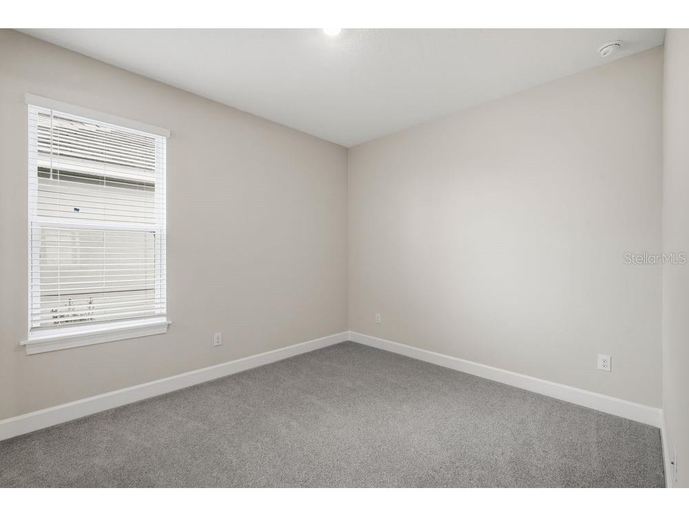 3863 Figliolia Way Wesley Chapel FL 33543 TB8451200 image14