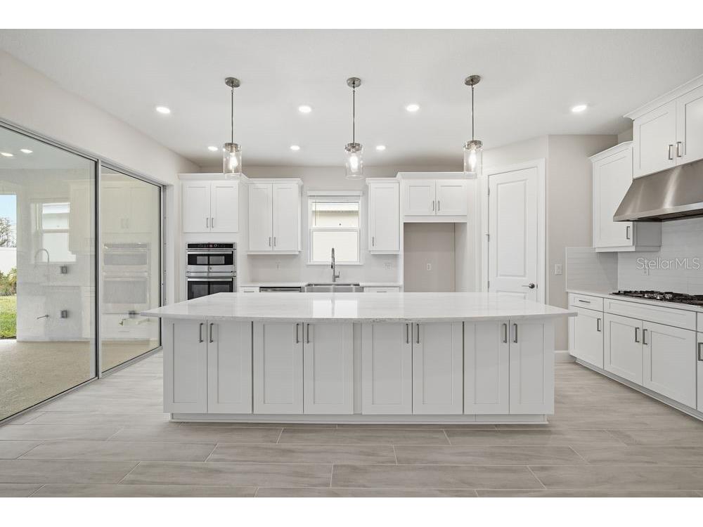 3863 Figliolia Way Wesley Chapel FL 33543 TB8451200 image2