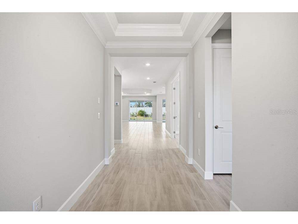 3863 Figliolia Way Wesley Chapel FL 33543 TB8451200 image20