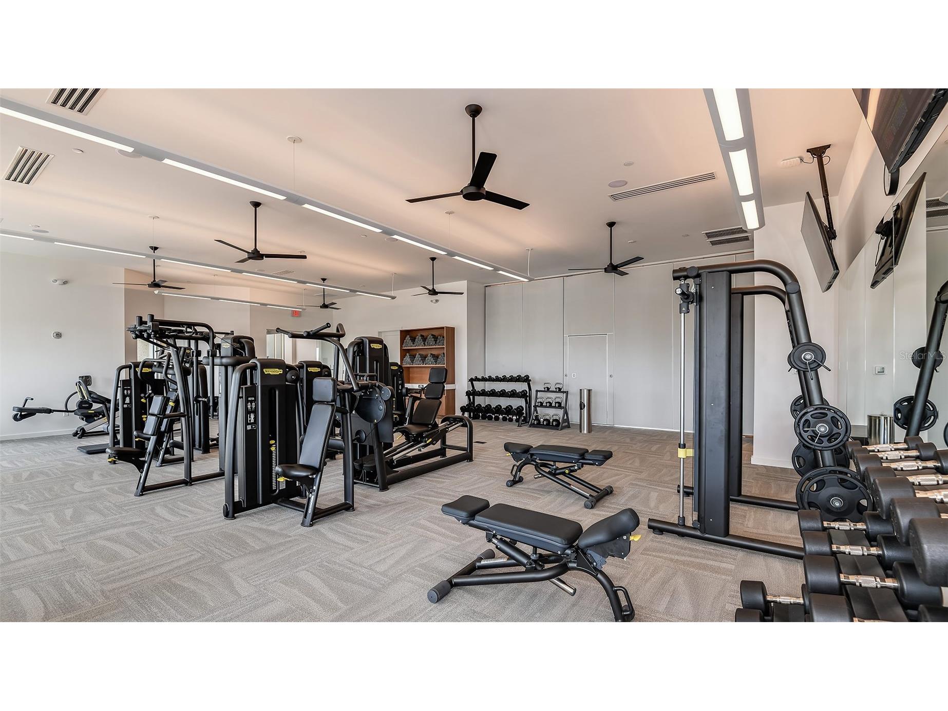 3863 Figliolia Way Wesley Chapel FL 33543 TB8451200 image34