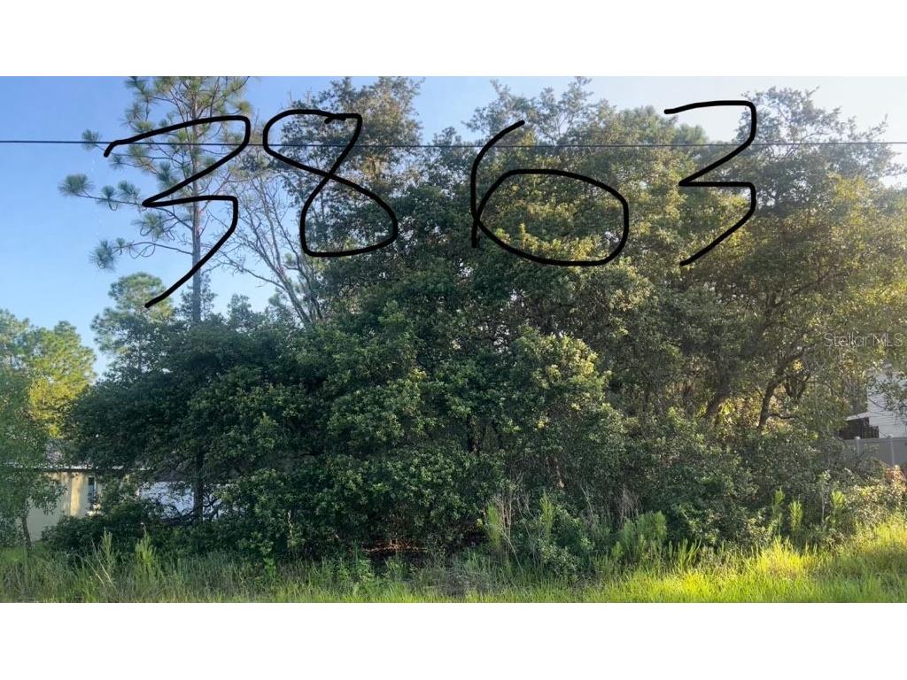 3863 W Galleon St Citrus Springs FL 34433 W7853076 image1