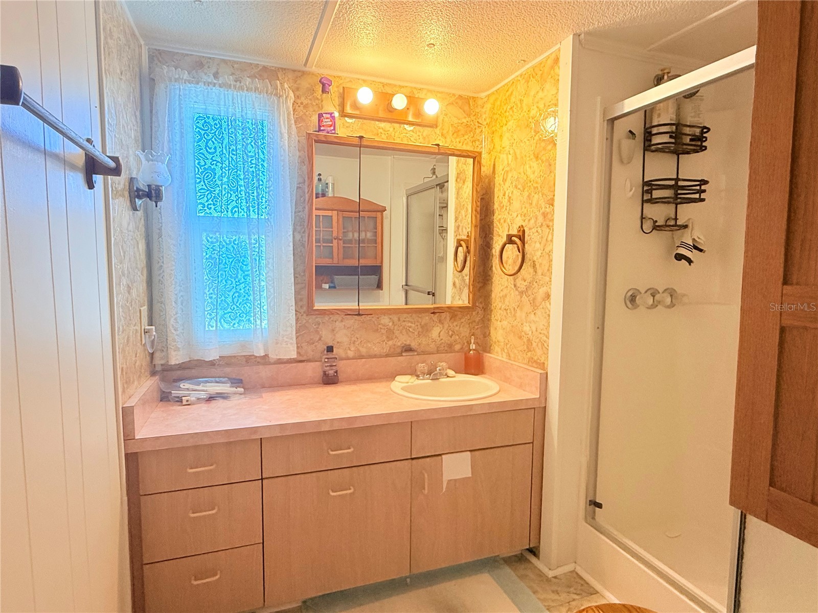 38645 Remora Avenue Zephyrhills FL 33542 TB8498973 image11