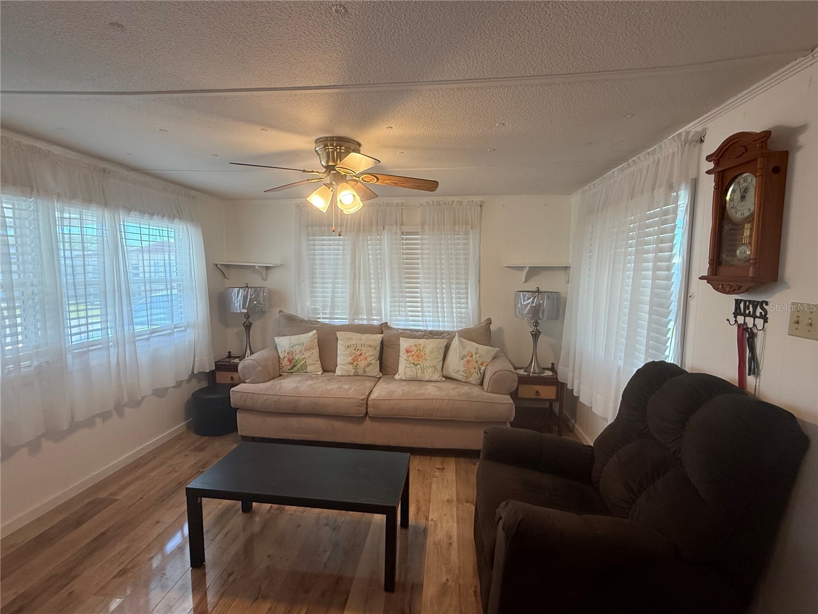 38645 Remora Avenue Zephyrhills FL 33542 TB8498973 image3