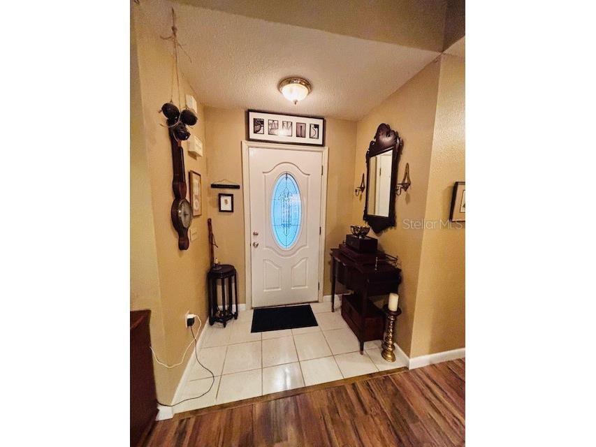 38648 Ferm Circle Zephyrhills FL 33540 TB8411852 image22