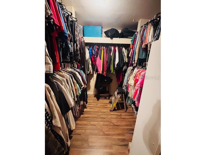 38648 Ferm Circle Zephyrhills FL 33540 TB8411852 image24