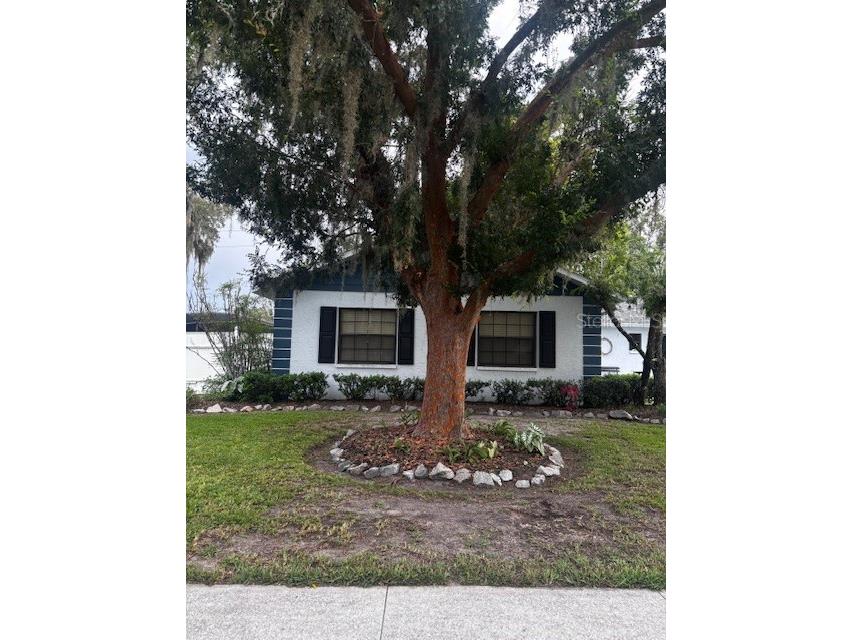 38648 Ferm Circle Zephyrhills FL 33540 TB8411852 image42