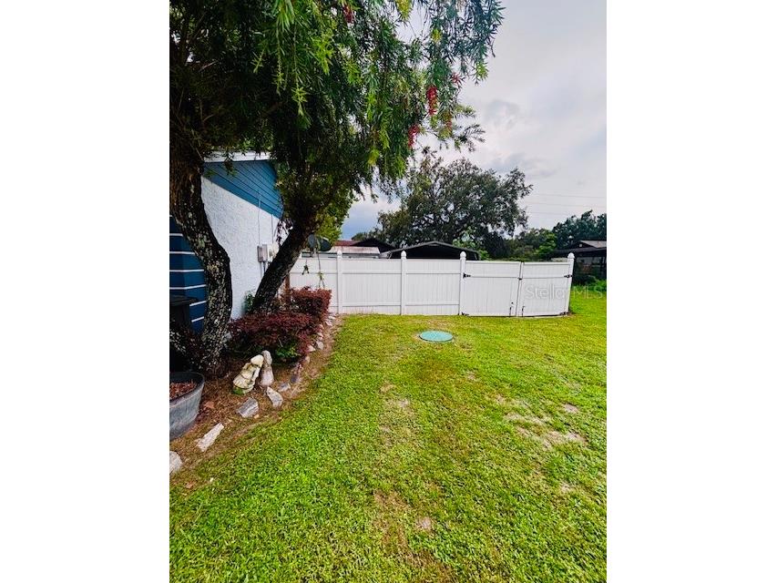38648 Ferm Circle Zephyrhills FL 33540 TB8411852 image45