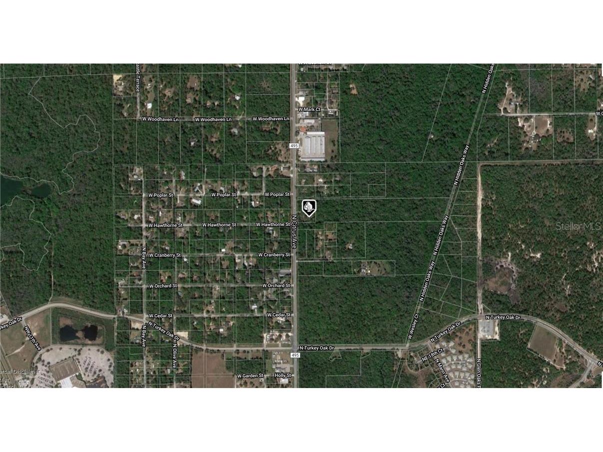 3865 N Citrus Avenue Crystal River FL 34428 A4475448 image2
