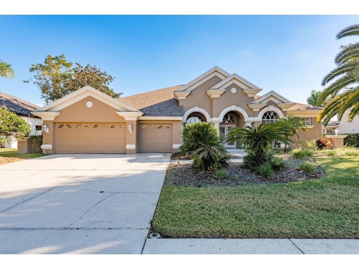 3866 Moreno Drive Palm Harbor FL 34685 TB8445249 image1