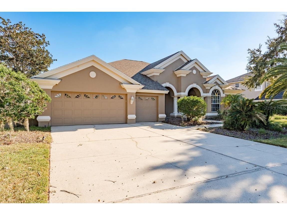 3866 Moreno Drive Palm Harbor FL 34685 TB8445249 image2