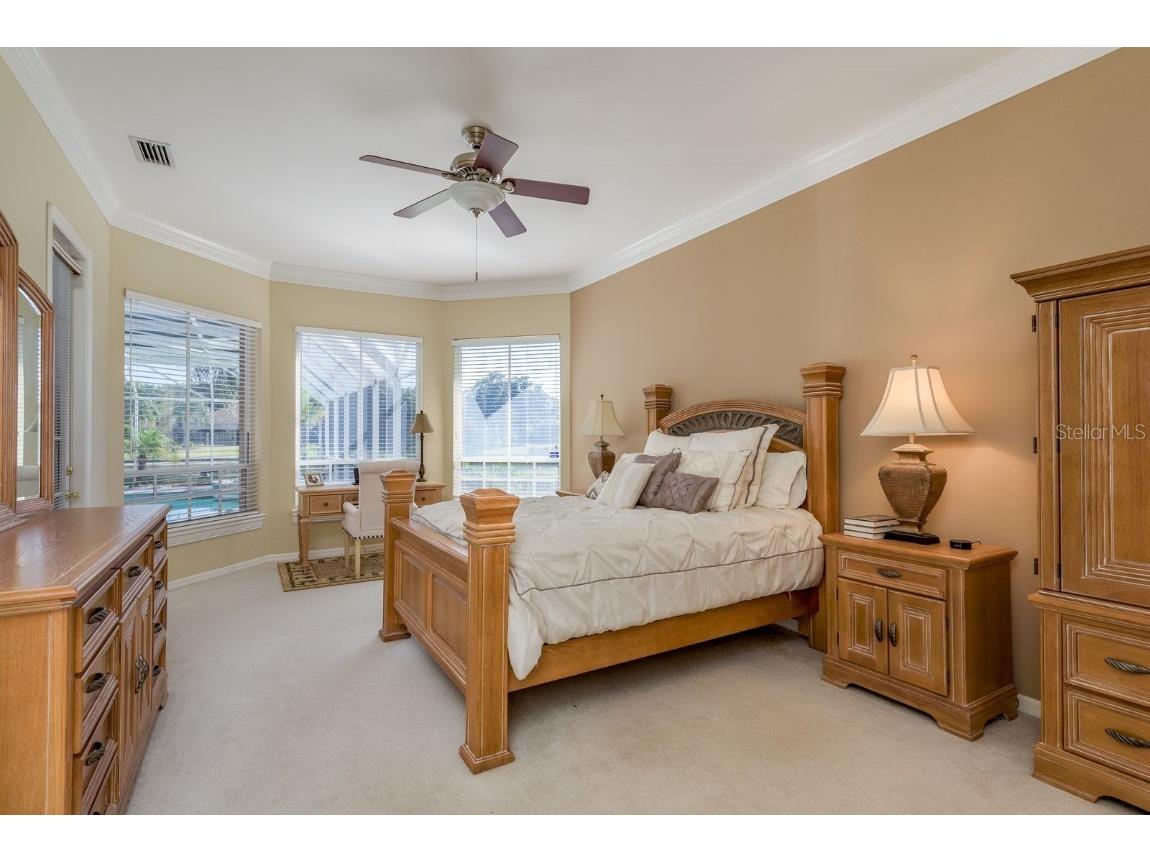 3866 Moreno Drive Palm Harbor FL 34685 TB8445249 image20