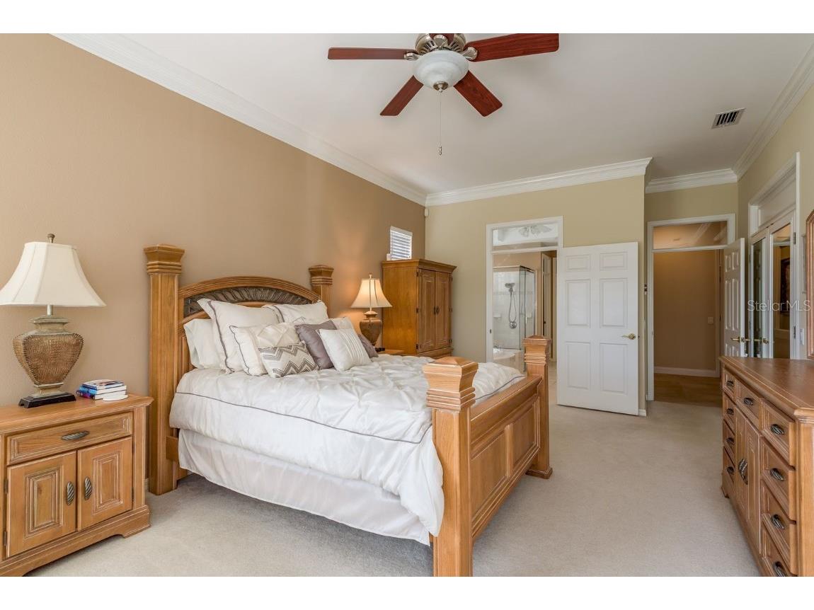 3866 Moreno Drive Palm Harbor FL 34685 TB8445249 image21