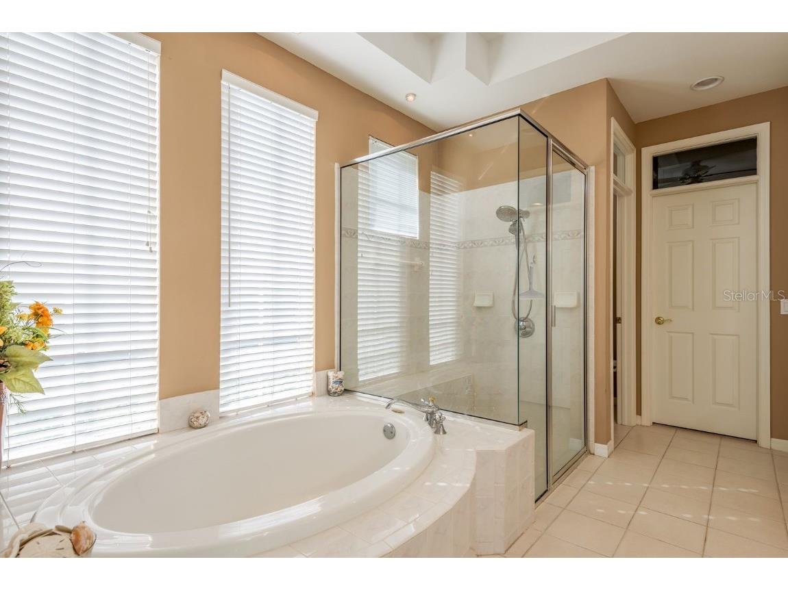 3866 Moreno Drive Palm Harbor FL 34685 TB8445249 image23