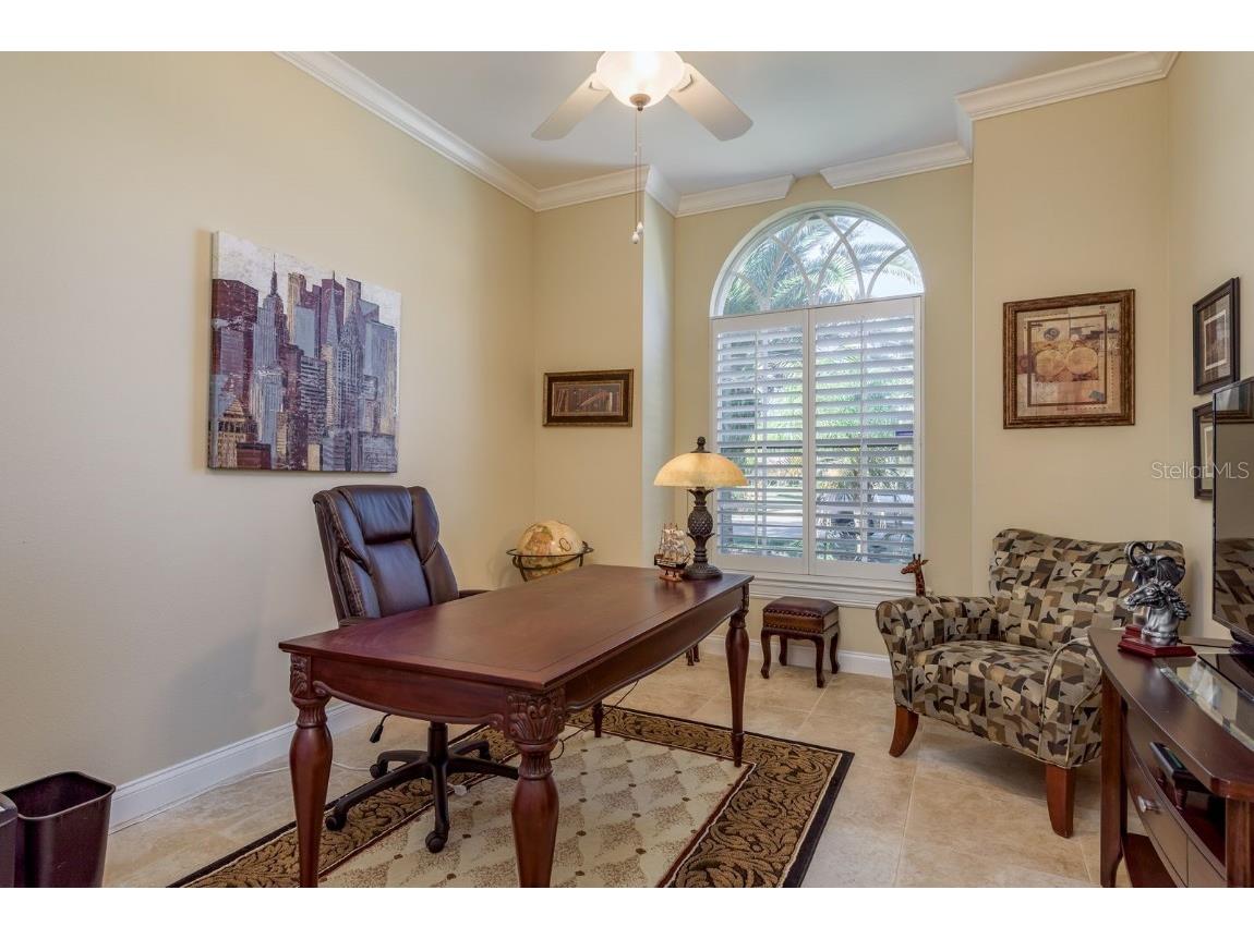 3866 Moreno Drive Palm Harbor FL 34685 TB8445249 image24