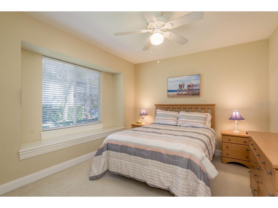 3866 Moreno Drive Palm Harbor FL 34685 TB8445249 image26