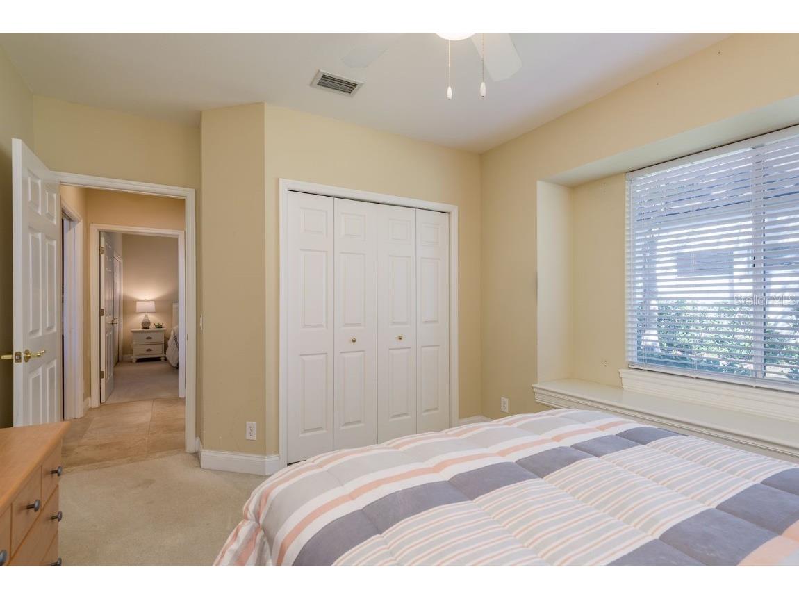 3866 Moreno Drive Palm Harbor FL 34685 TB8445249 image27