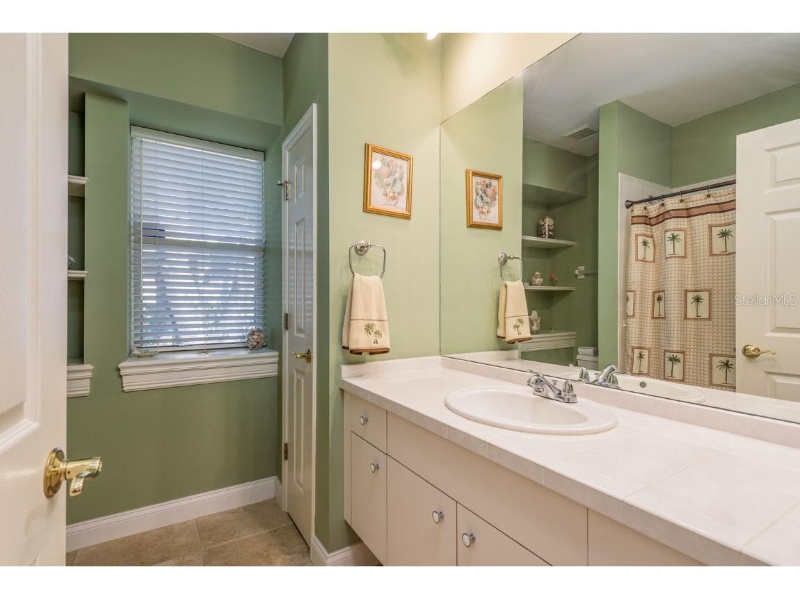 3866 Moreno Drive Palm Harbor FL 34685 TB8445249 image28