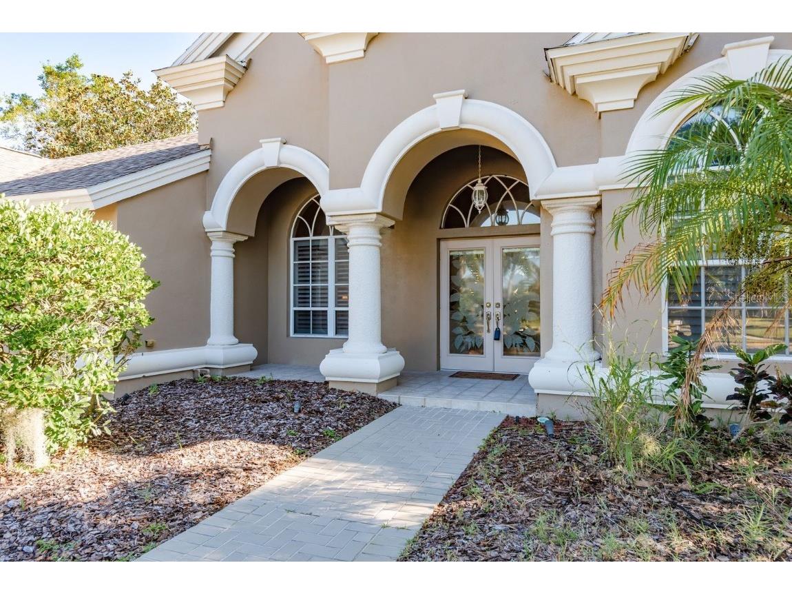 3866 Moreno Drive Palm Harbor FL 34685 TB8445249 image3