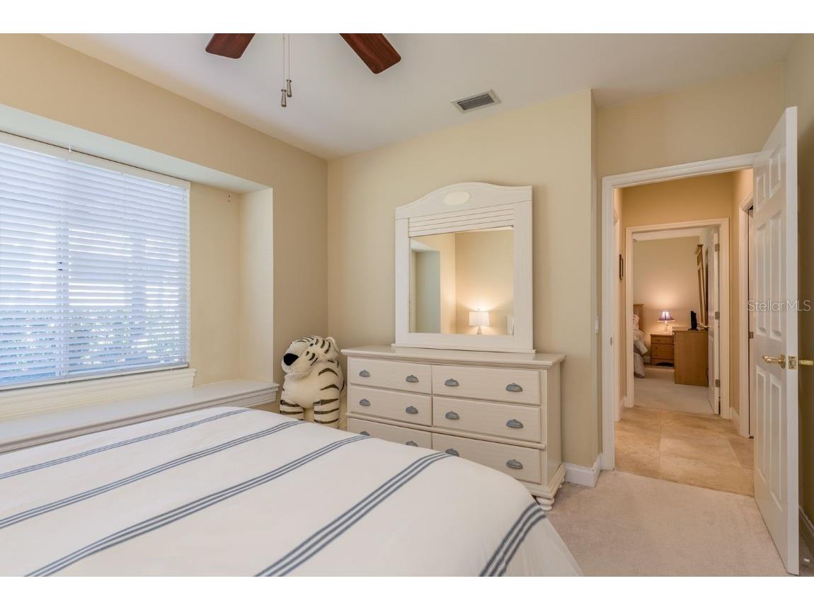 3866 Moreno Drive Palm Harbor FL 34685 TB8445249 image30