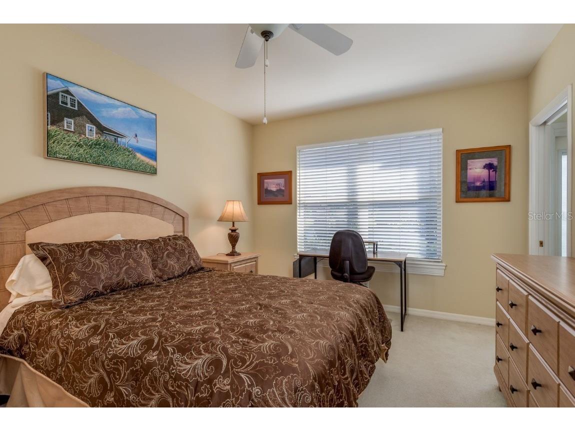 3866 Moreno Drive Palm Harbor FL 34685 TB8445249 image31