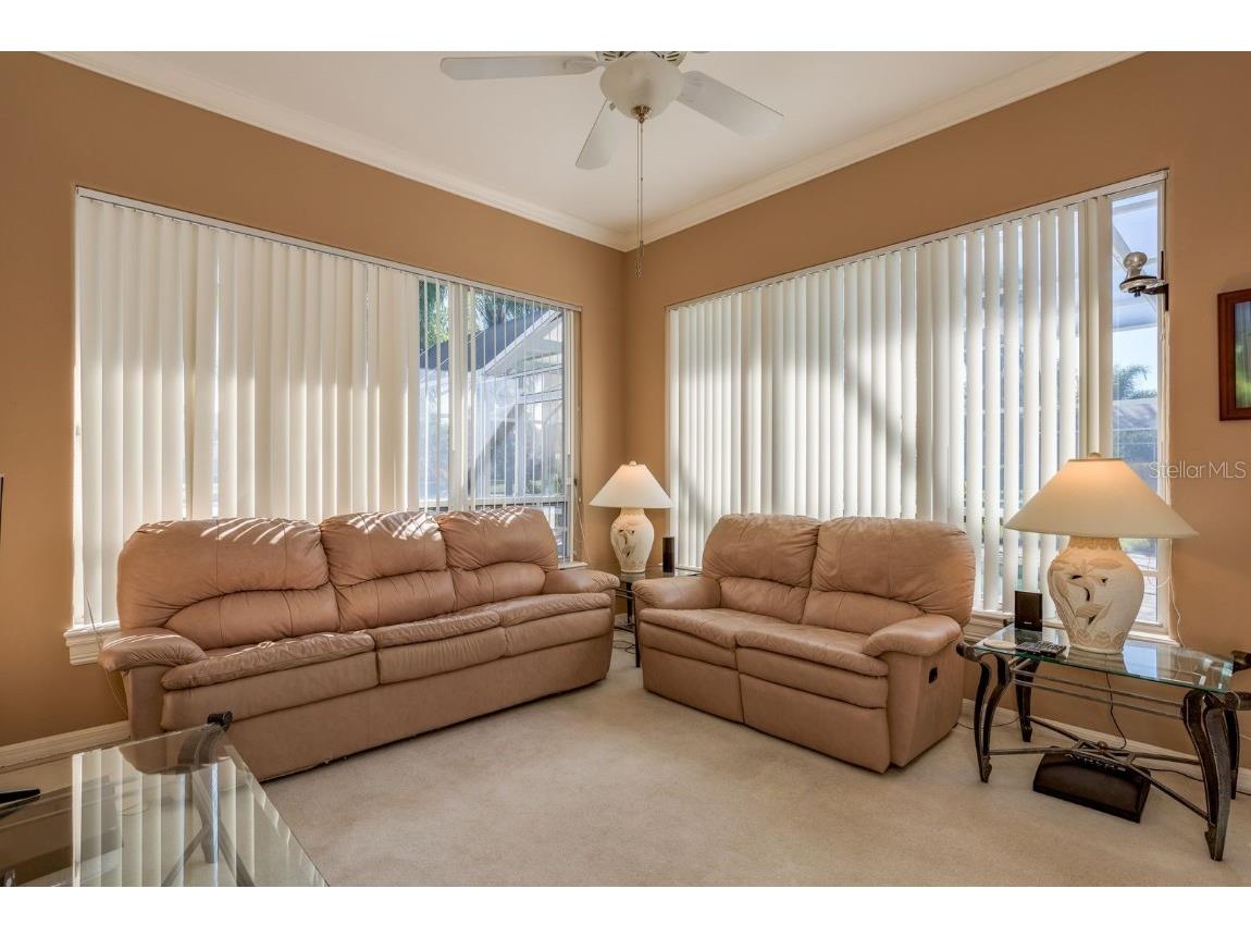 3866 Moreno Drive Palm Harbor FL 34685 TB8445249 image34