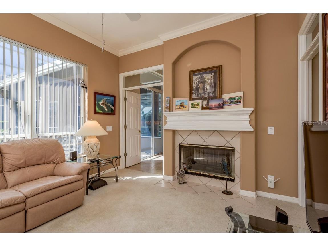 3866 Moreno Drive Palm Harbor FL 34685 TB8445249 image35