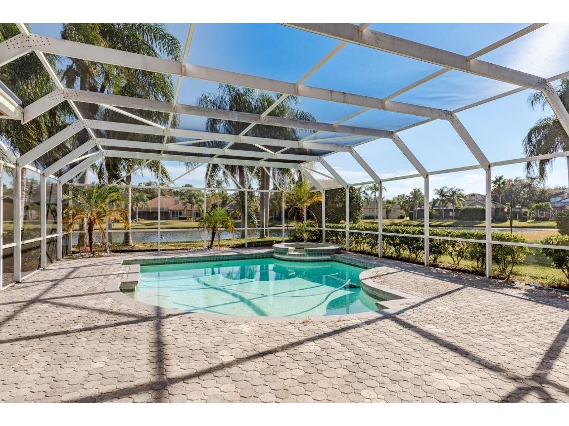 3866 Moreno Drive Palm Harbor FL 34685 TB8445249 image39