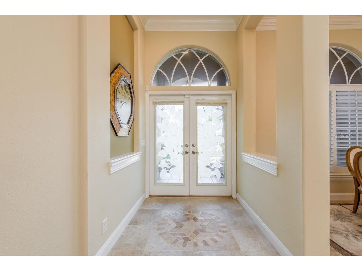 3866 Moreno Drive Palm Harbor FL 34685 TB8445249 image4