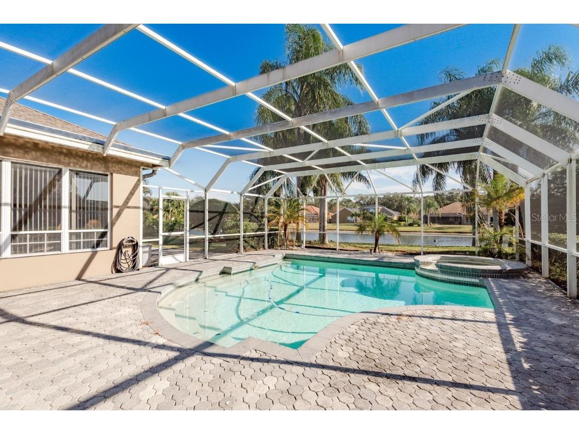 3866 Moreno Drive Palm Harbor FL 34685 TB8445249 image40