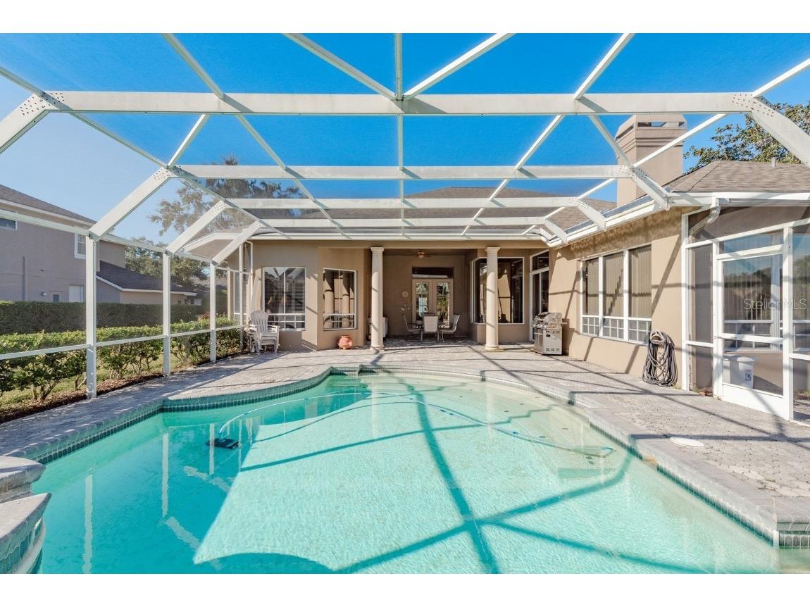 3866 Moreno Drive Palm Harbor FL 34685 TB8445249 image41